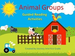 Animal Groups Guided Reading Activities Journeys Unit 3 Animal Groups Guided Reading Activities Common Core Kindergarten Reading