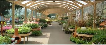 Pin On Plant Nursery