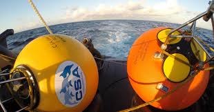 environment coastal & offshore - News update