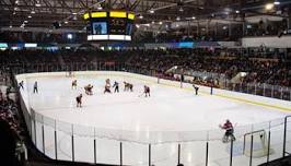 Ottawa 67s at Sarnia Sting