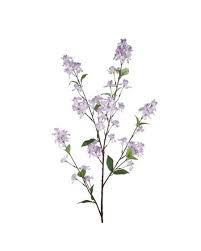 Wholesale fresh flowers online uk. Michael Dark Florist Supplies Huge Range Wholesale Prices