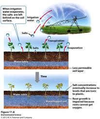 Distinguish between chronic undernutrition (hunger) and chronic and disadvantages of modern pesticides. Organic Food Definition Apes Organic Food