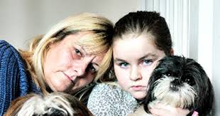 Loved dog killed by hit-and-run driver in Samlesbury