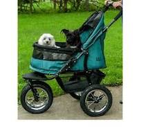 Pet Gear