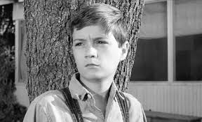 Which To Kill A Mockingbird Character Are You Really To Kill A Mockingbird American Actors Go Set A Watchman