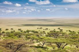 Serengeti National Park - 4D/3N