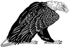 Black And White Simple Black And White Eagle Clipart Bald Eagle Standing White Headed American Bird Black And White Black White Tattoos Bald Eagle Tattoo Style