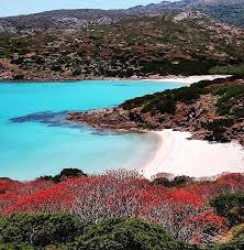 It has an area of 20 square miles (52 square km) and rises to 1,335 feet (407 m). Nationalpark Asinara Urlaub In Sardinien Hotel Cala Rosa