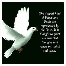 Dove Quote Dove Symbolism Inspirational Quotes Doves