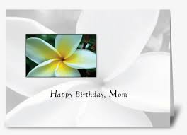 70+ unique happy birthday flowers images and pictures; Mom Birthday Single Flower Happy Birthday Images With Single Flowers Png Image Transparent Png Free Download On Seekpng