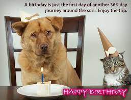 Pin By Zettie Downing On Happy Birthday Dog Birthday Funny Happy Birthday Wishes Animal Birthday