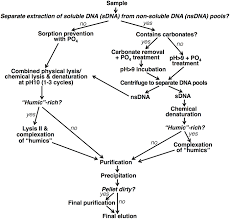 flow chart of modular nucleic acid extraction protocol