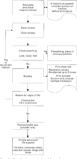 Advanced paediatric life support 6 maconochie i, bingham r, eich c, et al. Paediatric And Neonatal Life Support Semantic Scholar