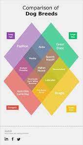 17 Venn Diagram Templates Edit Download In Pdf Venn Diagram Template Venn Diagram Diagram Design
