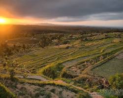 Suka Hunting Foto Matahari Terbit? Ini Dia 6 Spot Sempurna di Bali 6 Gambar Jatiluwih sunrise Bali