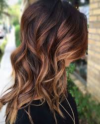 No ammonia, no peroxide, no metallic salts, no ppd, cruelty free, no animal ingredients, no animal testing. Chocolate Auburn Color Formula Behindthechair Com Chestnut Hair Color Hair Styles Hair Color Auburn
