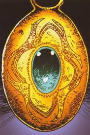 Image result for Triumfetta amuletum