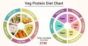 Diet Chart For Veg Protein Patient Veg Protein Diet Chart