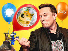 A viable investment strategy, if you were to. Dogecoin Extends Record Shattering Weekly Gain To 520 After Another Inscrutable Tweet From Elon Musk Currency News Financial And Business News Markets Insider