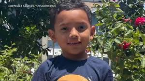 Mother says young son collapsed in her arms after being hit by stray bullet 