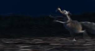 On the trip, they discover that manny, in fact, is not the last of the woolly mammoths. Ice Age The Meltdown Watch Cartoons Online Watch Anime Online English Dub Anime