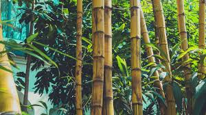 Taman rekreasi berkonsep edukasi ini sudah hadir dibeberapa negara di dunia. Potensi Industri Buluh Di Malaysia
