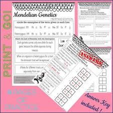 Wise Worksheets Mendelian Genetics Punnett Square Practice Mermaid Edition Vocabulary Practice Vocab High School Teacher