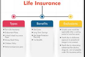 It goes without saying that life insurance is an absolute necessity. Life Insurance Infographics Visual Ly