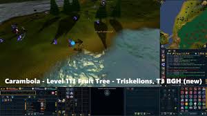 With seeds, you get to see the whole life cycle of the cactus from the very. New Seed Locations 120 Farm Herb And Ranch Out Of Time Rs3 Youtube