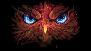 Owl Art Darkness Artwork Blue Eyes Graphics 1080p Wallpaper Hdwallpaper Desktop Black Background Wallpaper Black Backgrounds Wallpaper