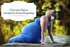 Wanita hamil dikategorikan menghadapi hipertensi apabila tekanan darah mencapai 140/90 mmhg. Blog Safeni Feni 8 Tips Untuk Mengelakkan Kencing Kotor Semasa Mengandung