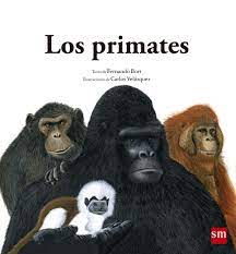 Pin On Novedades Infantil