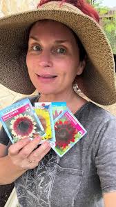 Ruby Eclipse Sunflower Plant