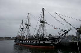 Image result for Thesium ussanguense