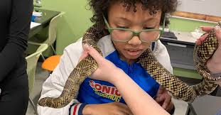 Pine Meadow Elementary Students Enjoy Week of Roy Hyatt Science Adventures  : NorthEscambia.com