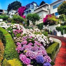 Lombard Street Russian Hill San Francisco Ca San Francisco Neighborhoods Lombard Street Russian Hill San Francisco