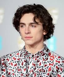 # 4 high bowl & high fade. This May Be Timothee Chalamet S Best Hair Look Yet