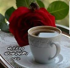 صباح الـخـــــــير مع شروق الشمس ونور الصباح أفتح نوافذ قلبك وأملئه بالأمل والتفاؤل بيوم مشرق جميل وأجعل قلبك مطمئن وثق أن ما شا tableware glassware