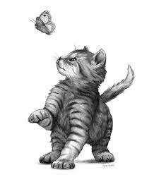 Chaton Papillon Dessin Chaton Dessin Chat Dessin De Chien