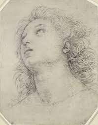 Pin On Raphael Drawings Mix