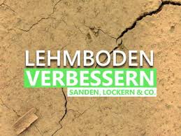Lehmboden für rasen vorbereiten lehmboden aufarbeiten lehmboden durchlässiger machen. Lehmboden Verbessern Sofortmassnahmen Fur Einen Besseren Boden