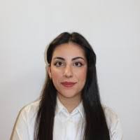 100+ profili “Finelli”