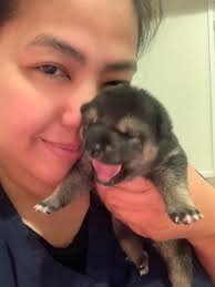 FY26 Supply Corps Lieutenant Commander Selections It is my pleasure to  announce the following Supply Corps officers selected for promotion to the  rank of Lieutenant Commander. Attaining this rank is the culmination