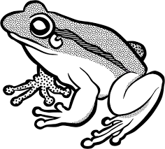 Black And White Frog Images Thanksgiving Crafts Pilgrims Clipart Google Search Clip Art Free Clip Art Art