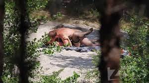 free porn clip 10 Voyeur public beach sex couple - voyeur public beach sex  couple - voyeur - XFantazy.com