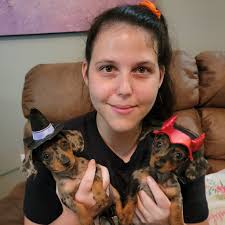 Pqb dachshunds group reaches 150 members