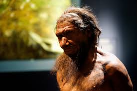 Storia e se i neanderthal non si fossero mai estinti? Alla Scoperta Dell Uomo Di Neanderthal Il Termopolio