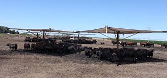 Midwest metal supply in centralia, ks has a variety of premade 10'x20' cattle sheds in various colors for $1200 plus tax. 3j G Cattle Shades Home Facebook