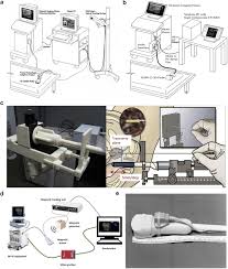 We have locations in the houston tx area. Freehand 3 D Ultrasound Imaging A Systematic Review Ultrasound In Medicine And Biology