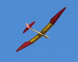 Giant Bird Of Time Sailplane Plans Templates And Instructions 118ws Ebay P51 Mustang Model Airplanes Rc Airplanes